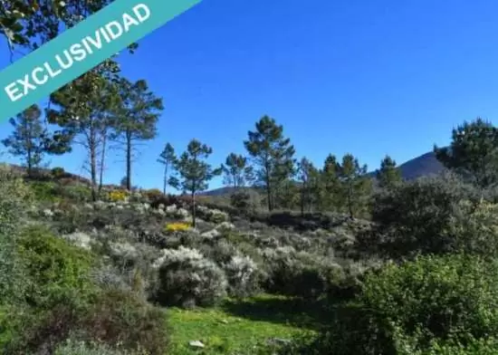 €118.000 Finca rustica de 12 5 hectareas en el valle de la Ribera de Acebo